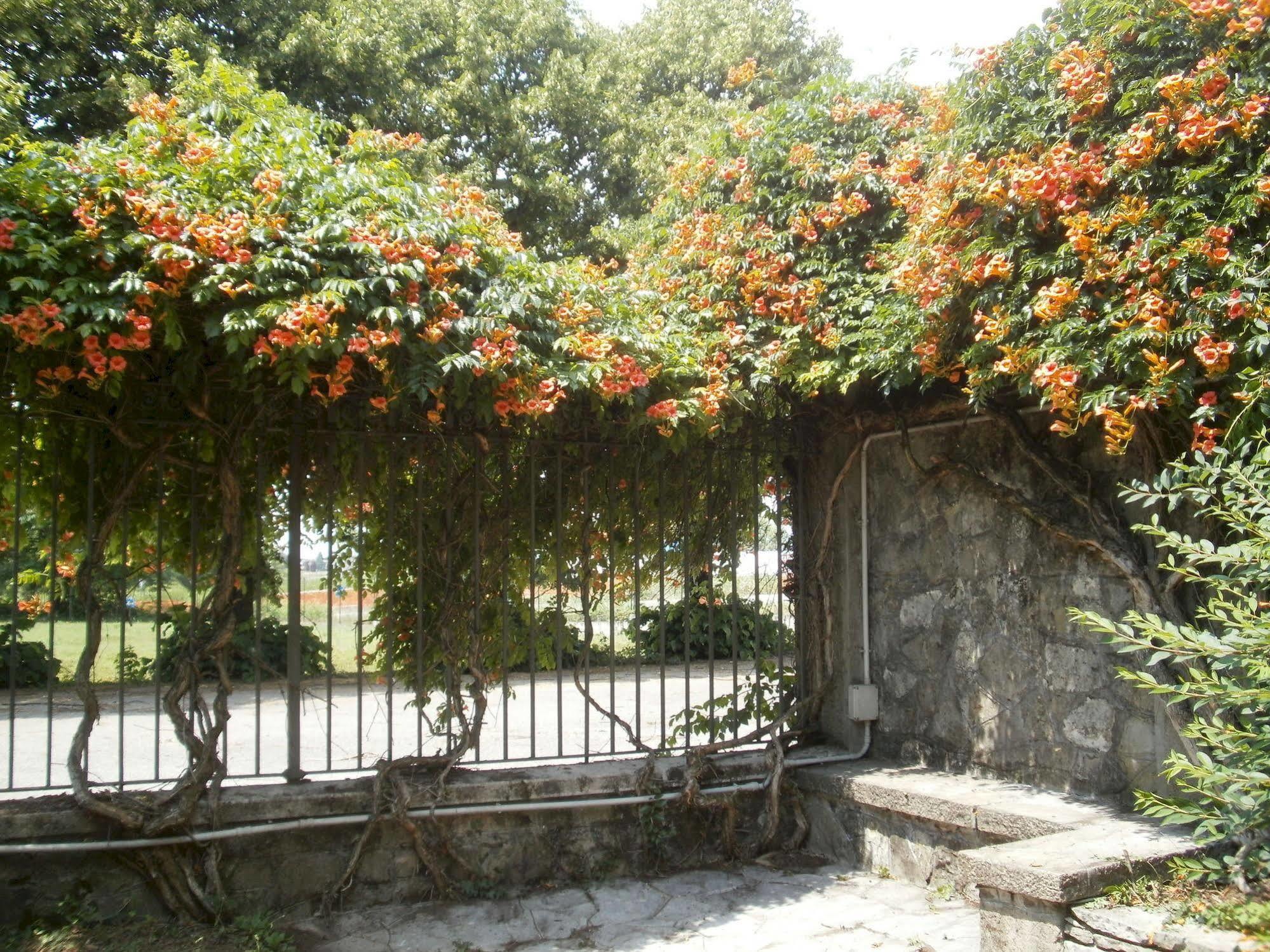 Albergo Villa & Roma Pallazzolo sullʼOglio 외부 사진